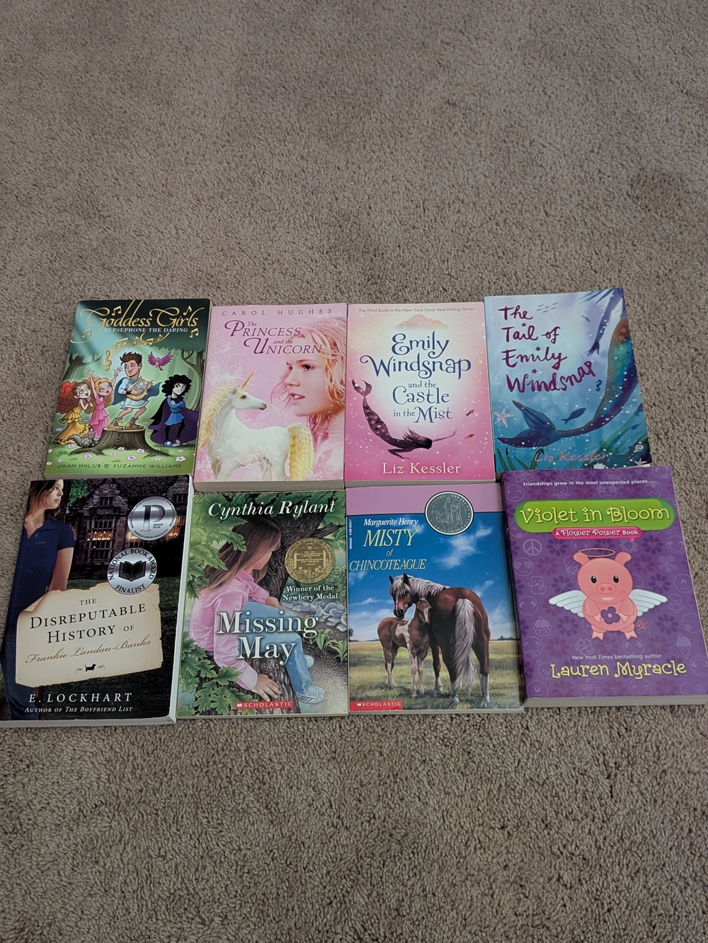 Assorted Children’s Chapter Books Collection